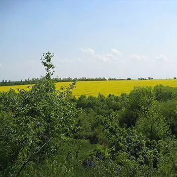 Hotels Green Lemon Garni - Haus Kraehenhuette Guest house Bad Sulza